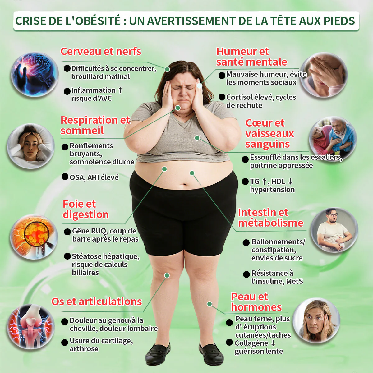 Magasin Officiel | Healrize® Moringa & Bérbérine 10-en-1 Patch Nanomicro-aiguilles Avancé👩⚕️ (Une application quotidienne, résultats visibles en 7 jours)🌼 Obésité, Diabète, Apnée du sommeil, Problèmes articulaires - Image 2